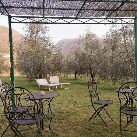 Agriturismo Conca Sandra - Farm Stay On Lake Como Perledo Екстер'єр фото
