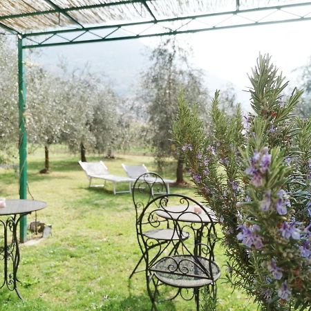Agriturismo Conca Sandra - Farm Stay On Lake Como Perledo Екстер'єр фото