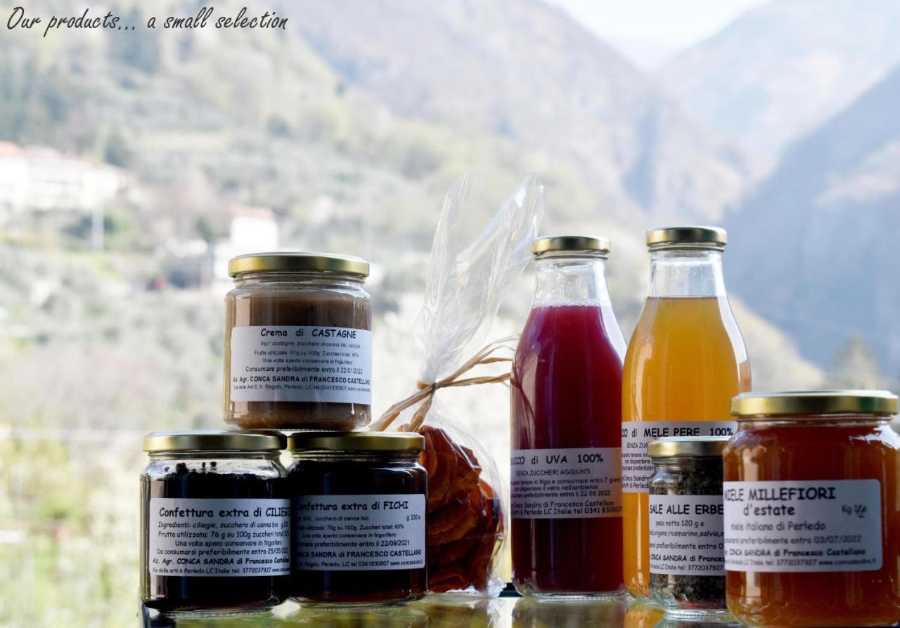 Agriturismo Conca Sandra - Farm Stay On Lake Como Perledo Екстер'єр фото