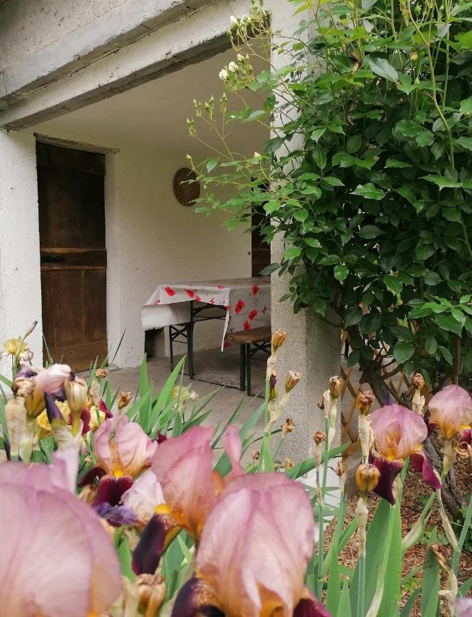 Agriturismo Conca Sandra - Farm Stay On Lake Como Perledo Екстер'єр фото