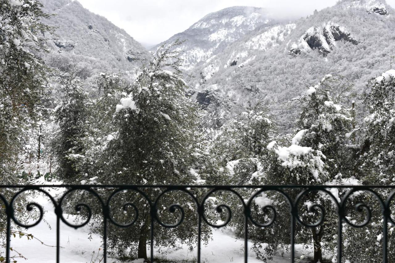 Agriturismo Conca Sandra - Farm Stay On Lake Como Perledo Екстер'єр фото