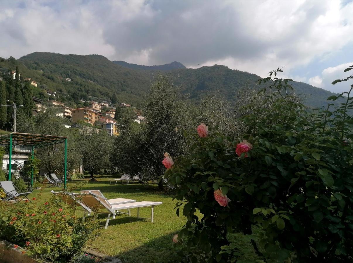 Agriturismo Conca Sandra - Farm Stay On Lake Como Perledo Екстер'єр фото