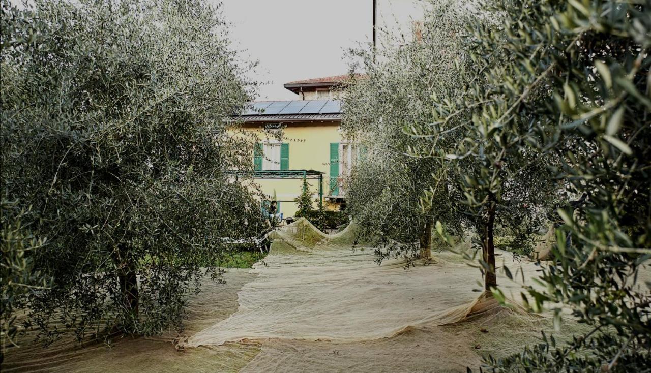 Agriturismo Conca Sandra - Farm Stay On Lake Como Perledo Екстер'єр фото