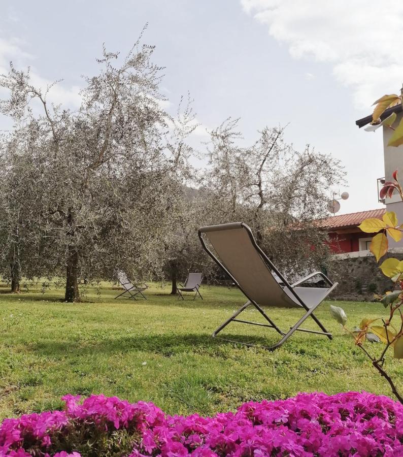 Agriturismo Conca Sandra - Farm Stay On Lake Como Perledo Екстер'єр фото